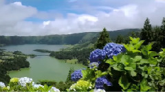 Paradise