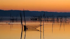 A Scenery of Inbanuma Fishing Site