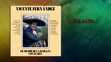 Guadalajara (Cover Audio)