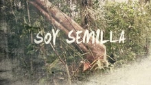 Semillas