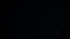 Petra