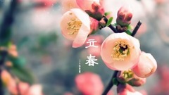 立春