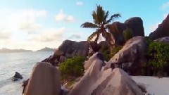 In Paradise