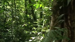 阳光里的地方