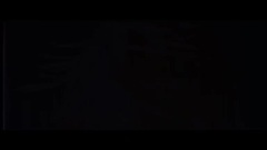 Нуки - Реальность