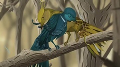 BIRDY