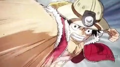 Fate《One Piece》AMV