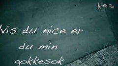 Mads B - Gokkesok