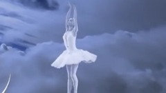 Swan (With Lyrics)