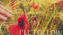 Fancy Cars - I'll Follow 歌词版