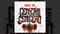 Ceniza En Cenicero