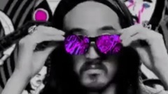 Steve Aoki I'm In The House