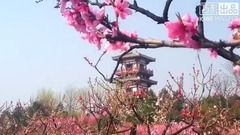 音乐短片