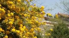 宝鸡金台观