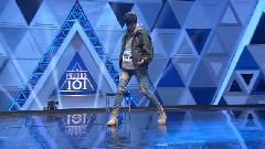 Cat Walk