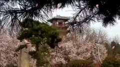 音乐欣赏