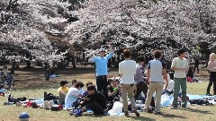 Sunday Park