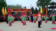 来生愿做一朵莲