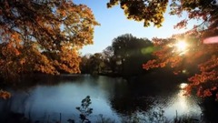 Fall