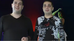 Орхидеи