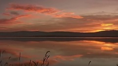 几度夕阳红