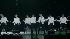BOY IN LUV