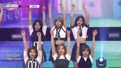 170531 [Show Champion] TWICE - Signal EP.230