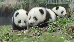 全新的祝福