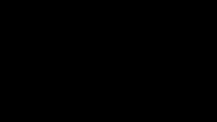 Lelekevő LIGHT