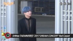 2017 DREAM CONCERT Red Carpet