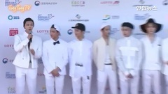 2017 DREAM CONCERT Red Carpet