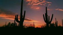 Mediterraneo (videoclip)