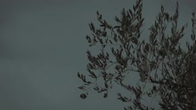 Lontano (Videoclip)