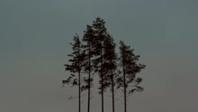 Jos muutat mielesi