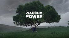 Gaucho Power