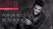 Por un Beso de Tu Boca (Audio)