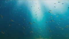 暮色怡情