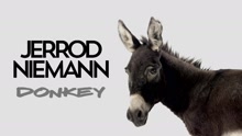 Donkey (Audio)