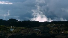 云山留芳