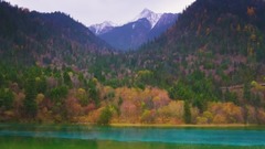 REAL HDR NATURE RELAXING