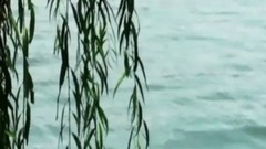 梦里水乡