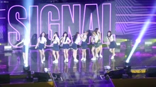 TWICE - SIGNAL