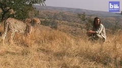 DOCS Cheetah Man