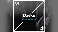 Fluxland 2017