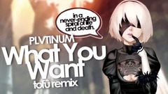 What You Want (tofû remix)