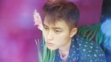 EXO - THE WAR D.O.版预告