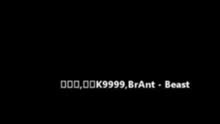 BrAnT.B - BrAnT.B小白