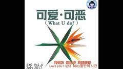 EXO 四辑 kokobop 九首收录曲精彩片段剪辑【中韩双声道】