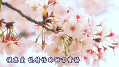 你潇洒我漂亮
