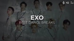 EXO's Best Dance Breaks(EXO最佳现场)